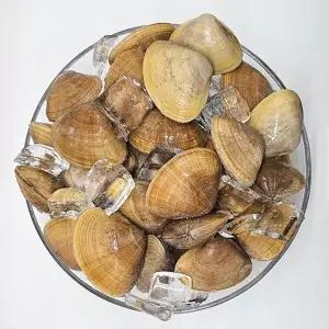 [통영수산물시장] 제철 국내산 명주조개 1kg 19미내외