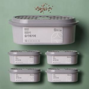 온다숲 제습제 반영구 국산100% 천연 습기제거제 옷장 방습제 집안 제습 장마철 5개