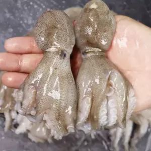 서해안 급냉 주꾸미 쭈꾸미 1kg