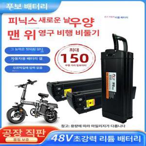 전기자전거 리튬배터리 48V 밧데리 2025 팻바이크