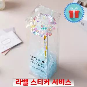 홀로그램 카네이션 꽃 캐리어 세트 어버이날 스승의날 카네이션선물 감사선물 플라워박스