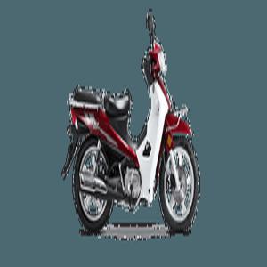 [라이트바겐] CB 115 (시티베스트)