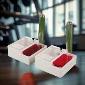 개미 유지 초보자 키트 3D 프린트 집 작은 종의 여왕의 둥지에 이상적입니다.