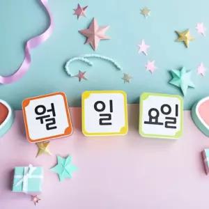 루미루미 월일요일 자석카드 날짜 표시 마그넷보드 부착 카드 알림판 자석 환경판 꾸미기