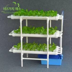 수경재배기 수경재배포트 수경재배키트 가정용 화분 실내 키트 상추 식물 상추키우기 야채