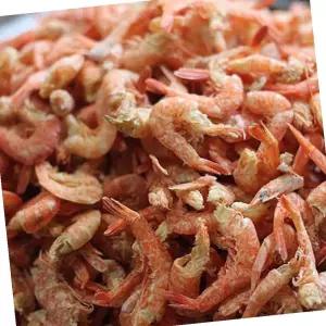 VB 두절 새우 국내산 200G 건새우