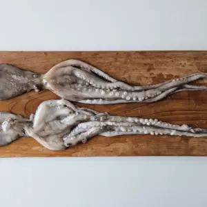 급냉 낙지 자이언트 초특대 선동 냉동낙지 연포탕 볶음 