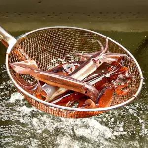 동해 통오징어 3kg(24-30미 내외) 초코오징어