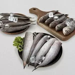 삼천포 용궁수산시장 국내산 반건조 생선 자반세트1 꽃돔 볼락 조기