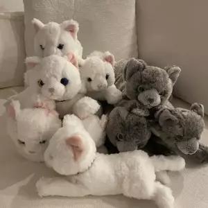 아트박스/콤비니 [선레몬] 무릎인형 고양이 인형 오드아이 러시안블루