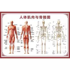 할로윈 전신 마네킹 해골 호러 뼈 인형 공포 시체 모형 골격 유령