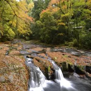 [출발확정][홈쇼핑인기상품][큐슈로] 단풍빛 가을부터 눈부신 겨울까지 후쿠오카 리조트+온천 3일(가이세키포함 특식5회+간식3회+노미호다이특전)