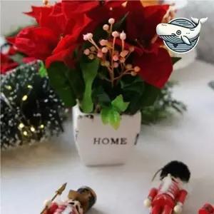 [콩심팥심]포인세티아 미니화분 조화 예쁜 장식꽃 화분