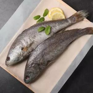 통민어 350g내외 x 2미