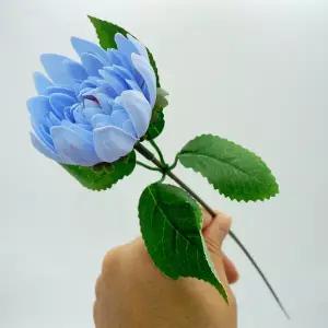 다알리아 비누꽃 한송이 연파랑 꽃대포함