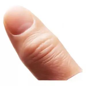 인조손가락 손가락 모형 연습용 인조손 네일 손모형 마네킹