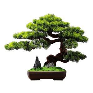 돈나무 호텔 대형 소나무 분재 호텔 사무실 식물 소나무 농장