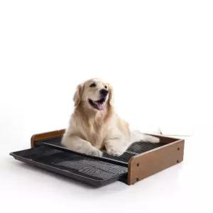 대형견 배변판 패드 강아지 소변패드 필요없는 반려견