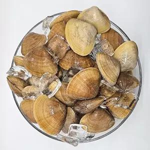 [통영수산물시장][통영수산물시장] 제철 국내산 명주조개 1kg 20미내외