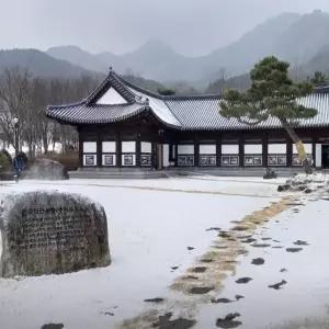 [KTX-당일] 2식 남원 흑돼지 먹GO 바래봉 눈썰매 타GO