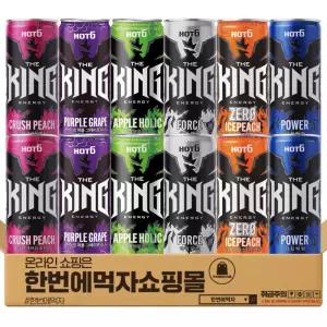 핫식스 더킹 포스 + 파워 + 크러쉬 피치 + 퍼플 그레이프 + 애플홀릭 + 아이스피치 제로 355ml 6종 2캔씩