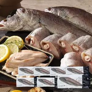 [NS홈쇼핑]국내산 반건조 통민어 240gX7팩 (총 7마리)[35288735]