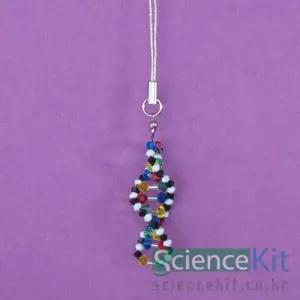 sk 사이언스키트 크리스탈비즈 DNA모형 1인용 DNA 나선구조 생식과유전 염기결합학습