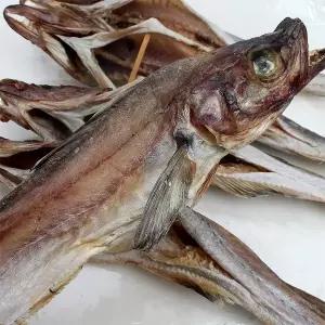 강원도 고성 반건조 코다리 42-50cm 4미