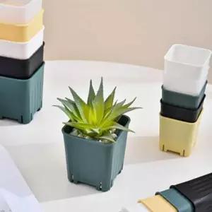 미니 다육 화분 8cm 사각 식물 작은 다육화분