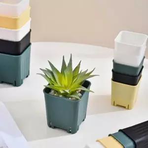 [골드스마일]미니 다육 화분 8cm 사각 식물 작은 다육화분