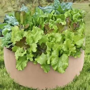 베이지 부직포 텃밭 화분 옥상 정원용 실내 화초 재배화분