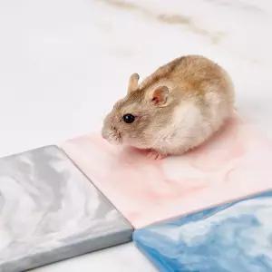 햄스터 도자기 쿨매트 곰돌이 고슴도치 여름 둣자리 qoG8+7FjK