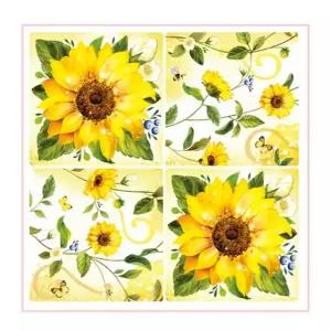 공간활용 인테리어 그래픽 스티커 해바라기 CSGT 37 그래픽스티커 꾸미기 학교 사무실 화분 나무 커피 문구