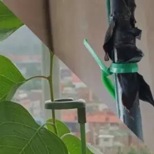 넝쿨지지대 오이 17cm 꽃지지대