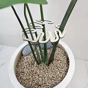 [골드스마일]몬스테라 식물지지대 화분지지대