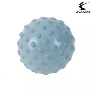 [골드스마일]더스티블루 헬스 미니 마사지짐볼