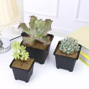 [셀러에이드]미니꽃화분 플라스틱 사각 다육이 화분(14 X 14cm)