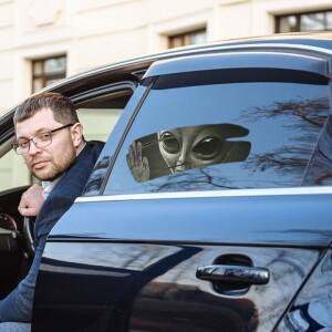 11.8X7.87CM 3D 멋진 외계인 금이 간 자동차 스티커 흠집 및 당김 꽃을 덮는 자체 접착 PVC 비닐 레이싱 데