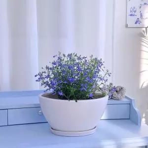 모던 도기 화분 타원 30x18x15cm 화이트무광분갈이 홈가드닝 식물키우기 꽃키우기 원예용 집들이선물 꾸미