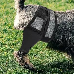 [셀러에이드]보호대 M 고관절 스트랩 통깁스 강아지 슬개골