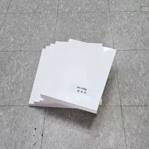 A4 사이즈 220g 모조지 백상지 상장용지 500매호캉스 휴양지룩 수영장 여름휴가 몸매커버 비치웨어 비키니