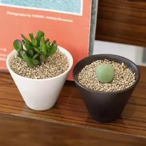 키우기쉬운 플랜테리어 도자기 집들이 다육식물 키트반려 미니 키우기 에서키우기쉬운 식물인 화분 고급 이