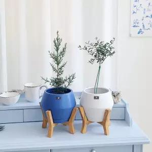 모던 도기 화분 UFO 우드스텐 셋트 D14x14cm실내 식물 인테리어 소품 정원 꾸미기 스텐 장식 디자인