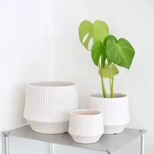 모던 도기 화분 세로줄 사일로팟 12 16 21 3개 셋트인테리어 소품 정원 꾸미기 식물