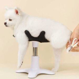 의자 애견 애견샵 미용의자 분홍색