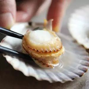 [맛군]제철 통영 당일조업 싱싱한 홍가리비 2kg (kg당 20-22미내외)