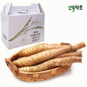 [액상추출] 안동 참마 액상차 110ml x 50포 국산 산약즙 참 마진액 참 마즙