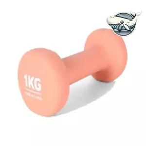 홈트 미용용 1kg 핑크 아령 근력 트레이닝 가정용아령 홈트덤벨