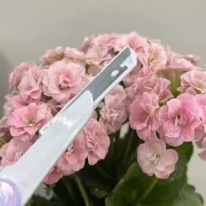 P1 일자형 눈썹정리 눈썹칼 3P (WC5B0A5)