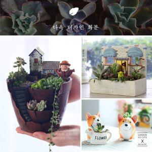다육화분 다육이화분 다육이 미니화분 미니다육화분